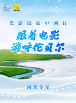 老司机电影免费
